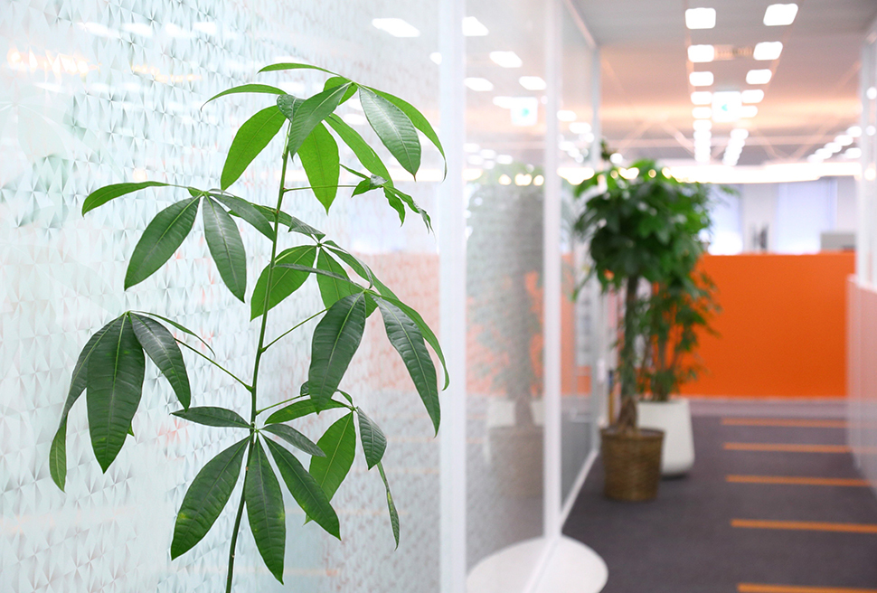 本社オフィスのイメージ04